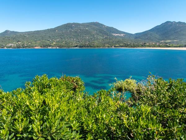 Hôtel Sampiero Corso : photo 4 de la chambre villa - côté plage