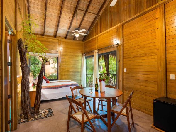 Villas El Encanto Cozumel : photo 9 de la chambre appartement deluxe