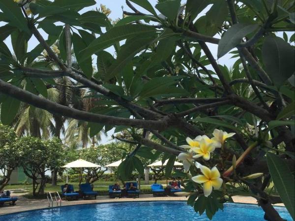 Tianze Beach Resort : photo 1 de la chambre two bed- room family junior suite