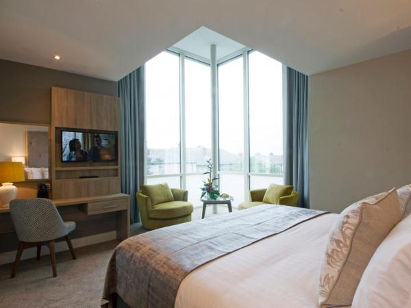 Gleesons Townhouse Booterstown : photo 1 de la chambre suite junior