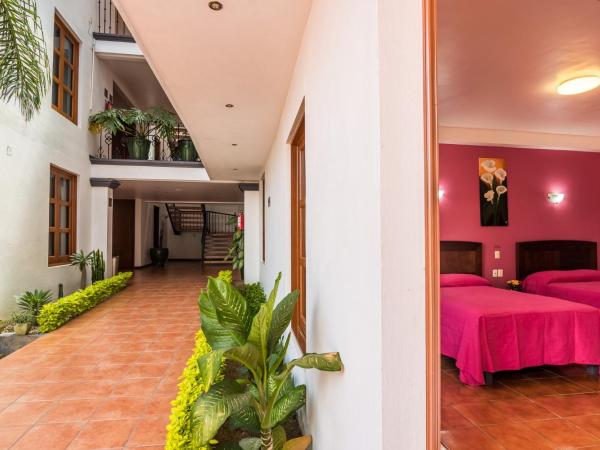 Hotel del Marquesado : photo 3 de la chambre chambre double standard avec 2 lits doubles