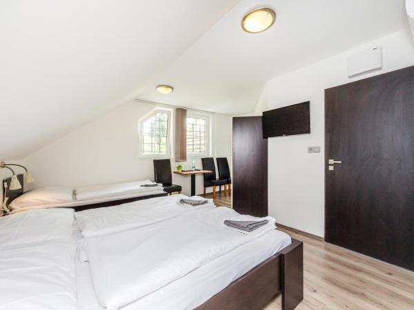 Nová Hospoda - Hotel & Restaurant : photo 2 de la chambre chambre triple standard