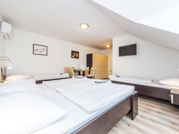 Nová Hospoda - Hotel & Restaurant : photo 3 de la chambre chambre quadruple standard