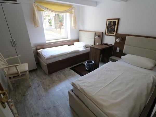Hotel Boritzka : photo 1 de la chambre chambre lits jumeaux avec salle de bains privative séparée