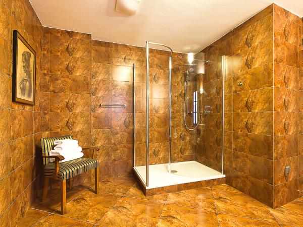 Hotel Krčínův Dům : photo 7 de la chambre suite deluxe