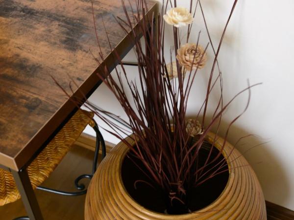 Obligado : photo 9 de la chambre appartement 1 chambre