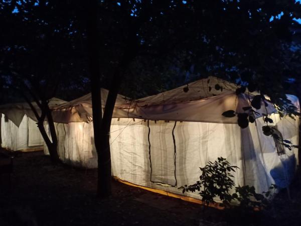 Nature Trail camps & Homestay : photo 1 de la chambre double bed luxury tent