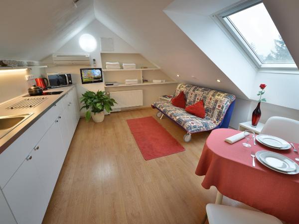 A. V. Pension Praha : photo 8 de la chambre attic apartment with free parking