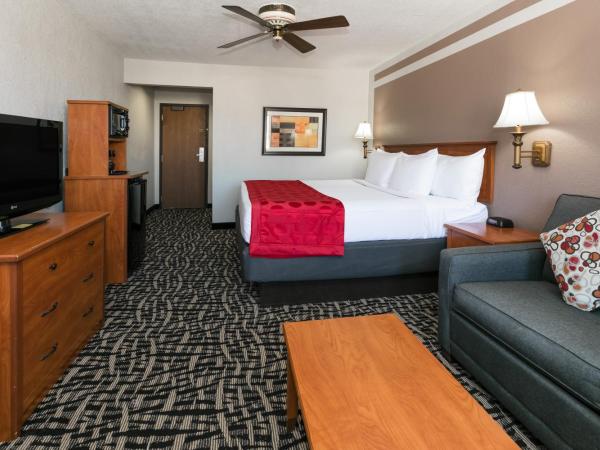 Ramada by Wyndham Oklahoma City Airport North : photo 9 de la chambre chambre lit king-size - accessible aux personnes à mobilité réduite - non-fumeurs