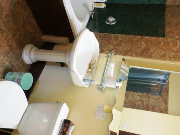 A Night to Remember B & B : photo 5 de la chambre chambre lit queen-size avec baignoire spa