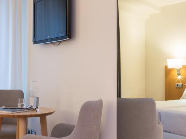Hotel Palacio de Aiete : photo 3 de la chambre chambre double ou lits jumeaux