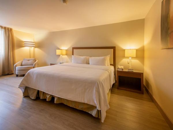 Antaris Valle : photo 4 de la chambre suite standard lit king-size