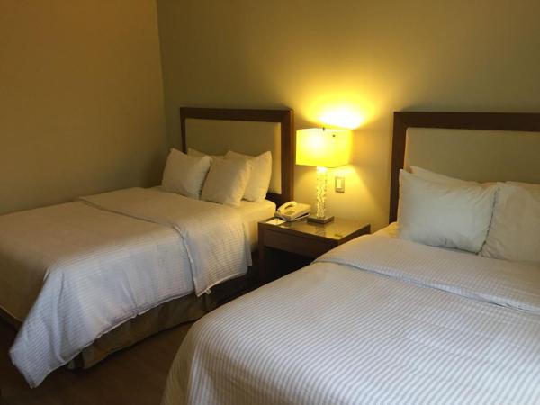 Antaris Valle : photo 1 de la chambre chambre double supérieure avec deux lits doubles