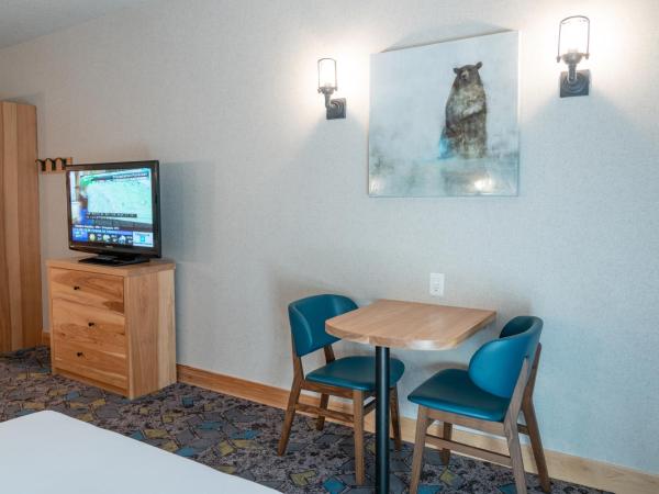 Tunnel Mountain Resort : photo 8 de la chambre suite supérieure avec lits queen-size et lits jumeaux