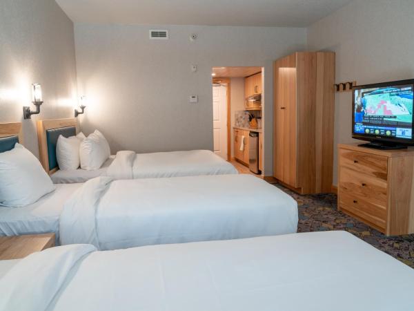 Tunnel Mountain Resort : photo 7 de la chambre suite supérieure avec lits queen-size et lits jumeaux 