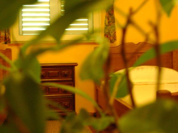 Guest House Marijana : photo 10 de la chambre chambre double ou lits jumeaux - vue sur mer