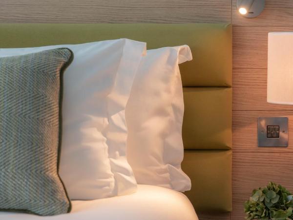 The Morgan Hotel : photo 5 de la chambre chambre signature lits jumeaux

