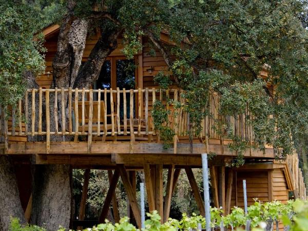 Chteau de Valmer : photo 1 de la chambre cabane dans les arbres familiale (2 adultes + 2 enfants)