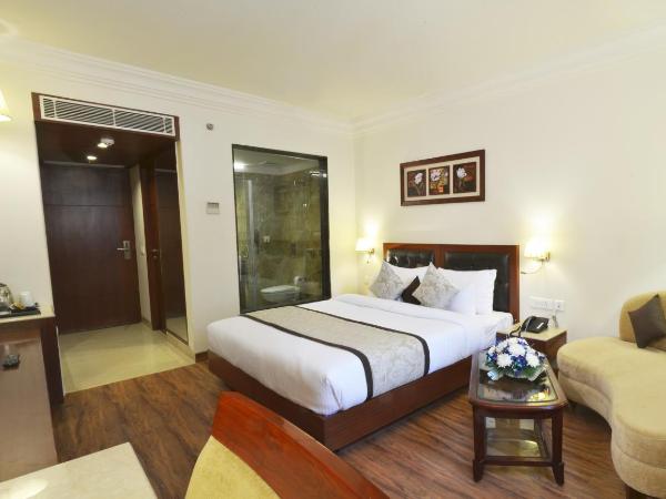 Hotel Regent Grand : photo 8 de la chambre metro view room