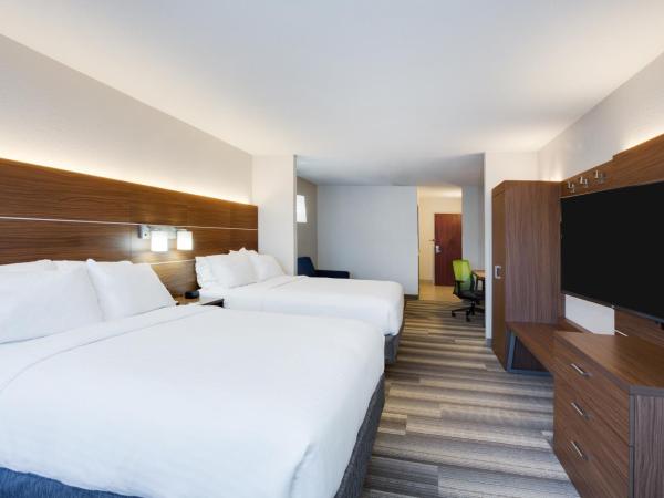Holiday Inn Express Hotel & Suites Tampa-Fairgrounds-Casino, an IHG Hotel : photo 2 de la chambre suite disposant de 2 lits queen-size