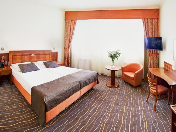 Luxury Family Hotel Bílá Labuť : photo 1 de la chambre chambre double ou lits jumeaux