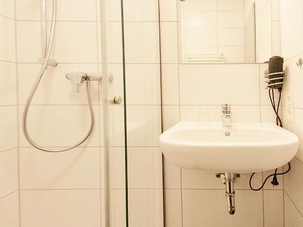 Hotel Birkensee : photo 2 de la chambre chambre simple standard avec douche