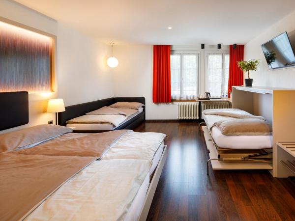 Hotel Jardin Bern : photo 4 de la chambre chambre confort