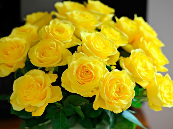 Hotel Maxim : photo 10 de la chambre chambre double ou lits jumeaux