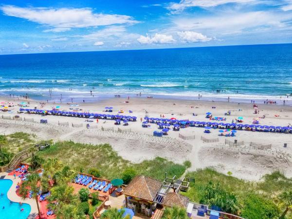Luxurious Ocean Front Views from this 8th Floor Beach Retreat! : photo 5 de la chambre appartement 1 chambre