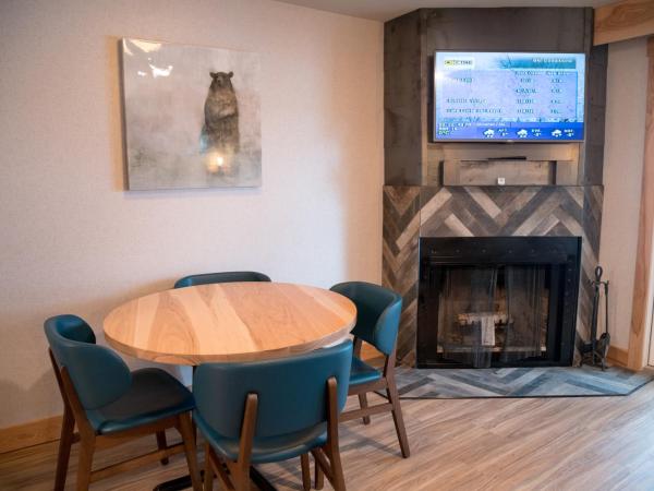 Tunnel Mountain Resort : photo 5 de la chambre studio