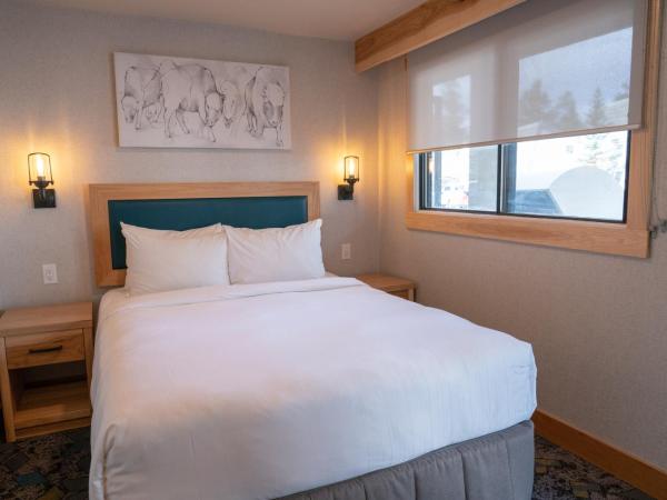 Tunnel Mountain Resort : photo 4 de la chambre studio