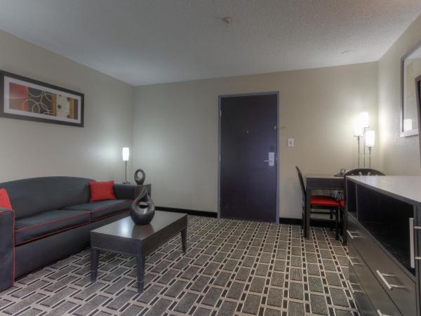 Comfort Suites Nashville Airport - BNA : photo 4 de la chambre suite lit king-size - non-fumeurs