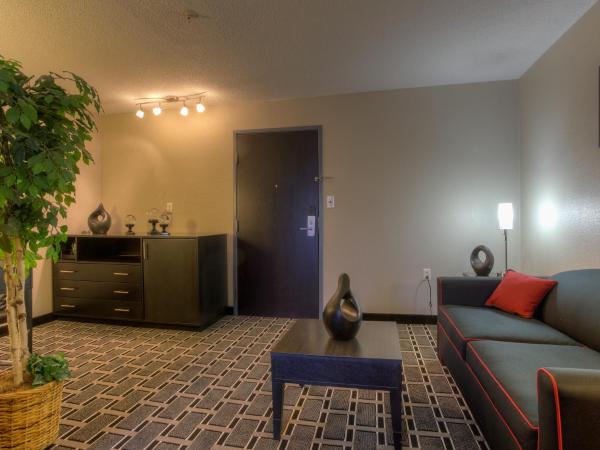 Comfort Suites Nashville Airport - BNA : photo 1 de la chambre suite lit king-size - non-fumeurs