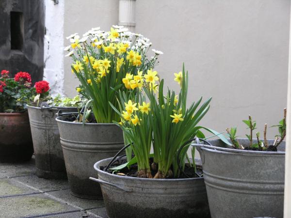 B&B Singel 100 : photo 10 de la chambre suite