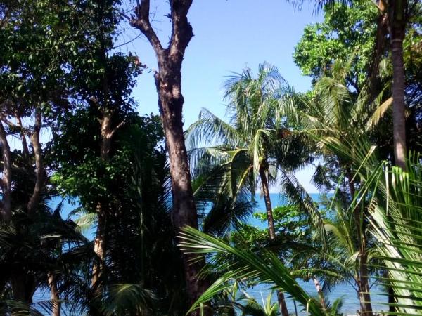 Paradise Palms : photo 10 de la chambre bungalow - vue sur mer 