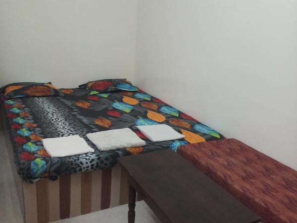 Hotel Sai Palace Walking Distance From Taj Mahal--View of Taj Mahal : photo 5 de la chambre chambre familiale standard