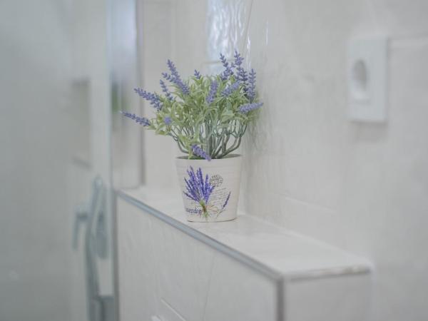 Leona Deluxe Apartments : photo 2 de la chambre appartement avec balcon