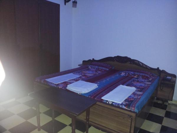 Hotel Sai Palace Walking Distance From Taj Mahal--View of Taj Mahal : photo 2 de la chambre chambre deluxe