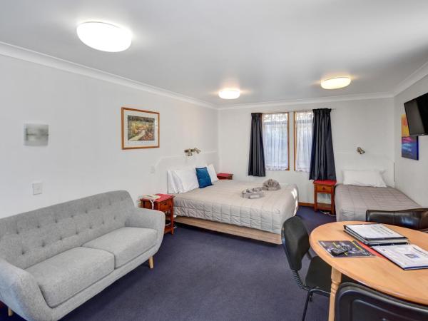 Garden Motel : photo 2 de la chambre large studio with wheelchair access 