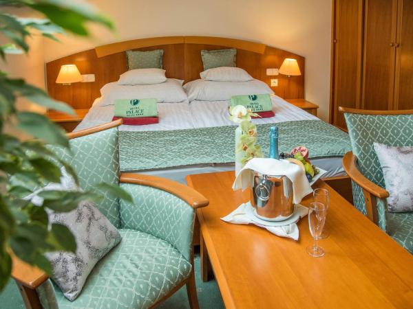 Palace Hotel Hévíz : photo 8 de la chambre chambre double - mansardée