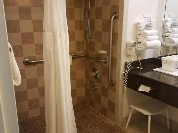 Ramada by Wyndham Temple Terrace/Tampa North : photo 4 de la chambre chambre lit queen-size pour personnes à mobilité réduite avec douche accessible en fauteuil roulant - non-fumeurs