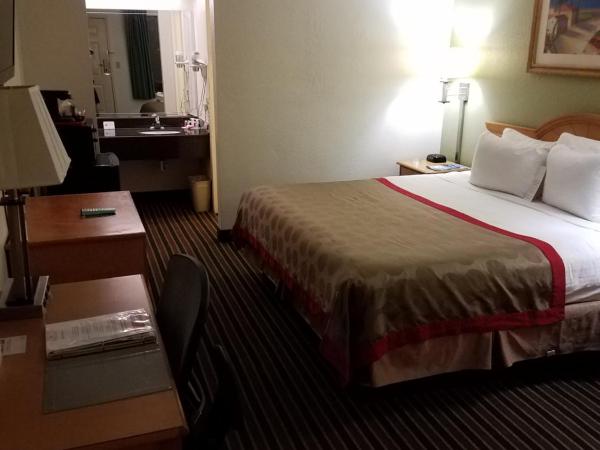 Ramada by Wyndham Temple Terrace/Tampa North : photo 6 de la chambre chambre lit king-size - non-fumeurs
