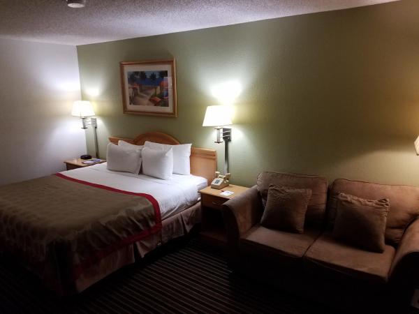 Ramada by Wyndham Temple Terrace/Tampa North : photo 7 de la chambre chambre lit king-size - non-fumeurs