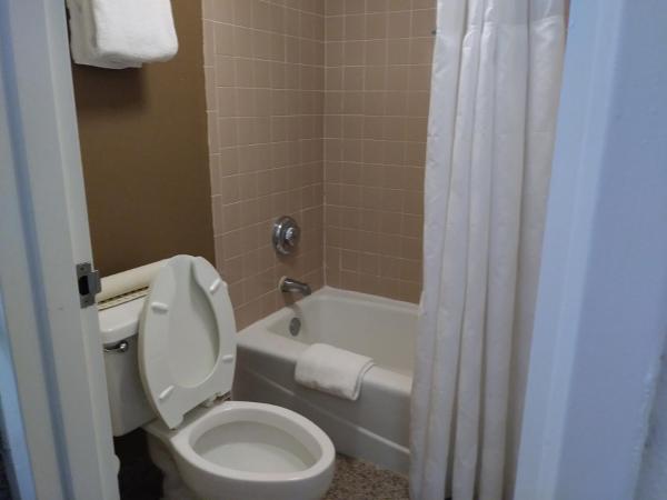 Ramada by Wyndham Temple Terrace/Tampa North : photo 7 de la chambre chambre standard avec 2 lits doubles - non-fumeurs