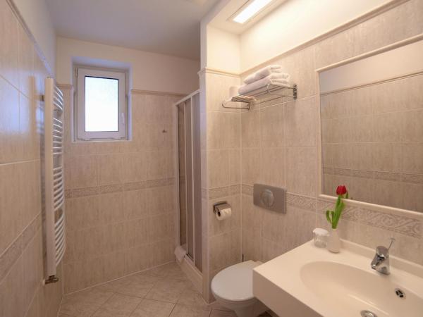 Penzion Fan : photo 10 de la chambre studio simple