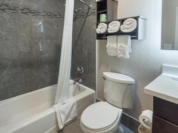 Econo Lodge Inn & Suites Houston NW-Cy-Fair : photo 2 de la chambre chambre lit king-size - non-fumeurs