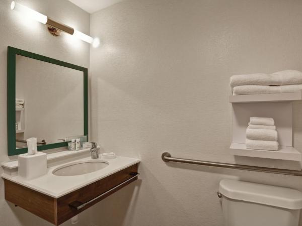 Hampton Inn Columbia-I-26 Airport : photo 9 de la chambre queen room - hearing access non smoking