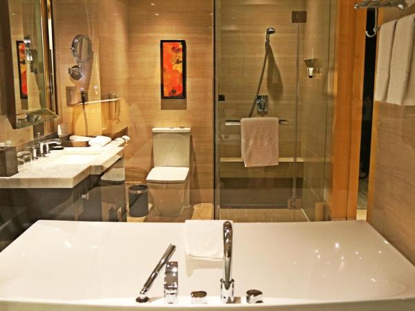 Royal International Hotel Shanghai - Pudong International Airport : photo 2 de la chambre chambre double exécutive