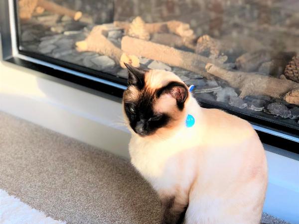 MyHolidays, Shotover, Delux Ensuite rooms : photo 3 de la chambre chambre supérieure lit queen-size