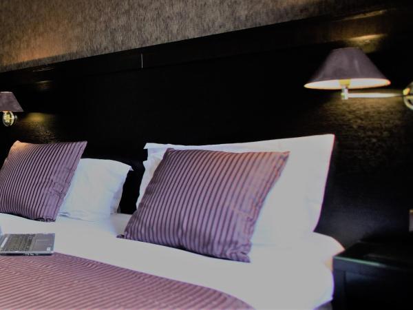 Best Western Plus Nice Cosy Hotel : photo 4 de la chambre chambre simple classique